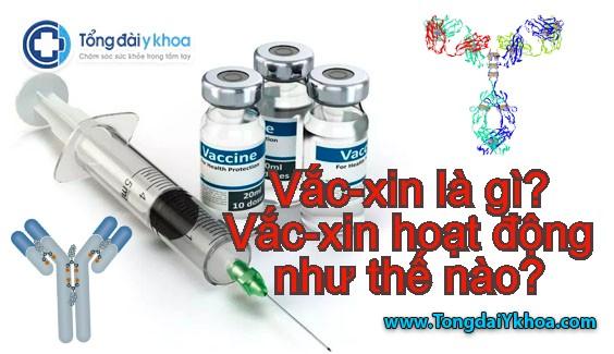 Vác-xin là gì? Vắc-xin hoạt động như thế nào?