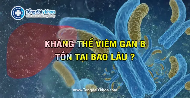 khang the viem gan b ton tai bao lau