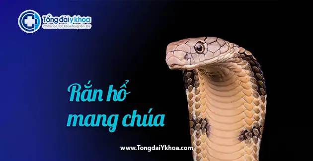Hình ảnh rắn độc Việt Nam: \
